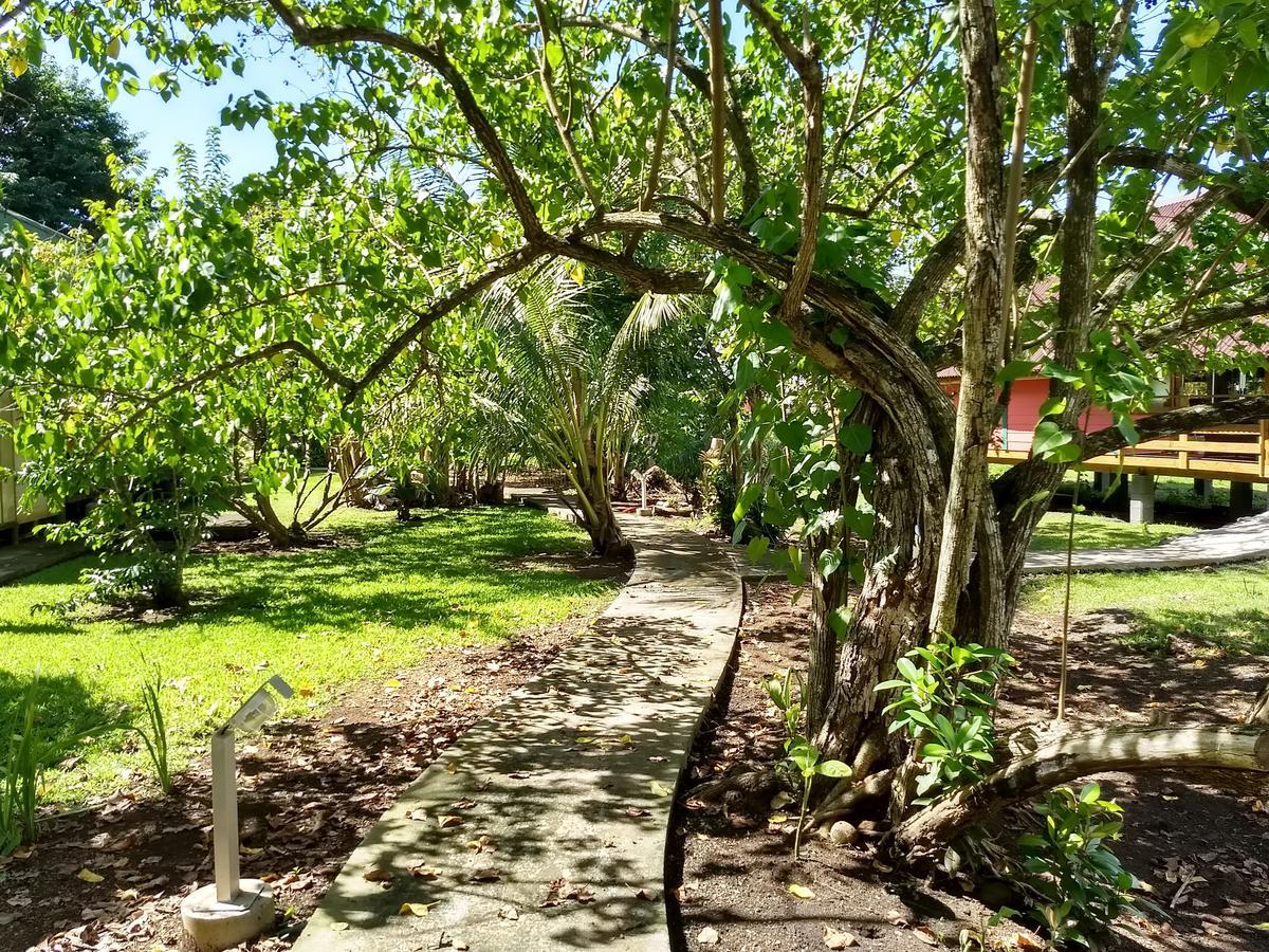 Pension Les Trois Cascades Uturoa Exterior photo