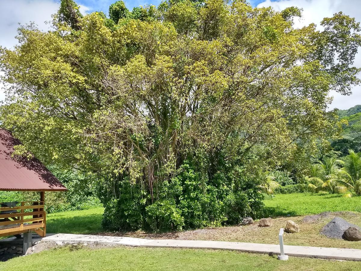 Pension Les Trois Cascades Uturoa Exterior photo