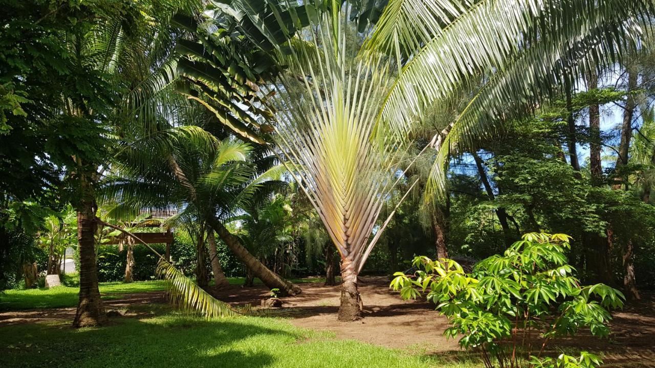Pension Les Trois Cascades Uturoa Exterior photo